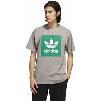 Vêtements Homme T-shirts manches courtes adidas Originals Originals Solid BB Gris