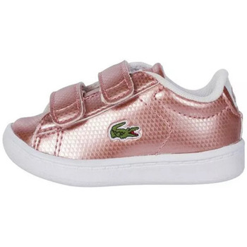 baskets basses enfant lacoste  carnaby evo 119 sui 