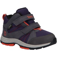 Chaussures Enfant Multisport Timberland A226R NEPTUNE Gris