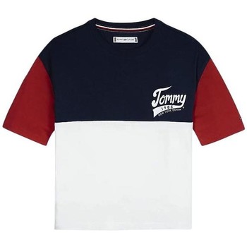 Vêtements Fille T-shirts & Polos Tommy Hilfiger  Multicolore