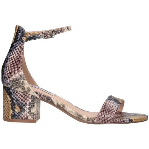 Chaussures Femme Sandales et Nu-pieds Steve Madden SMSIRENEE-MLTSNK Multicolore