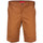 Vêtements Homme Tencel Shorts / Bermudas Dickies Industrial wk sht Marron