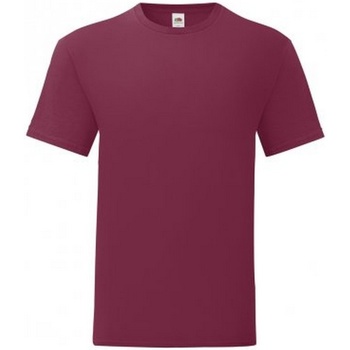 Vêtements Homme T-shirts manches courtes Fruit Of The Loom 61430 Multicolore