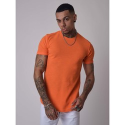 Vêtements Homme T-shirts manches courtes Project X Paris Gianluca - Lart Orange