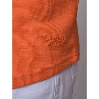Project X Paris Tee Shirt 2010110 Orange