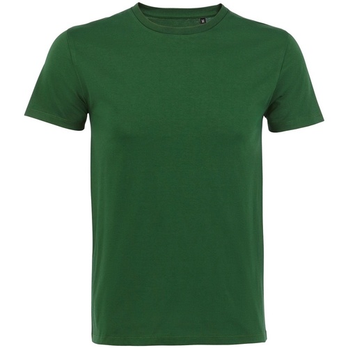 Vêtements Femme Chemises / Chemisiers Sols Milo Vert