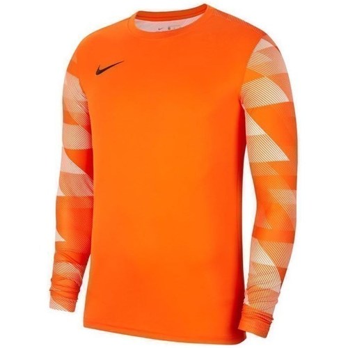 Vêtements Homme Sweats Nike Dry Park IV Orange