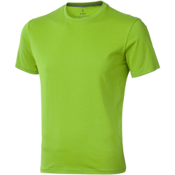 Vêtements Homme T-shirts manches courtes Elevate  Vert