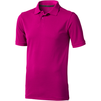 Vêtements Homme Polos manches courtes Elevate Calgary Rouge