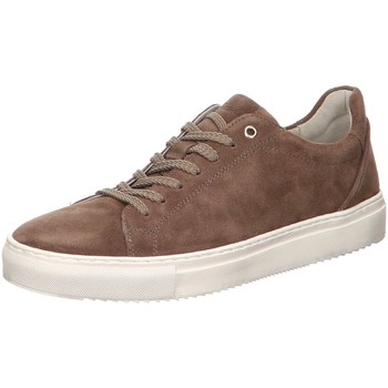 Chaussures Homme Baskets mode Sioux  Marron
