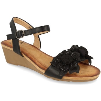 Chaussures Femme Sandales et Nu-pieds Colilai H090 Noir
