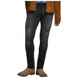 Vêtements Homme Jeans skinny Jack & Jones GLENN Pantalons Multicolore