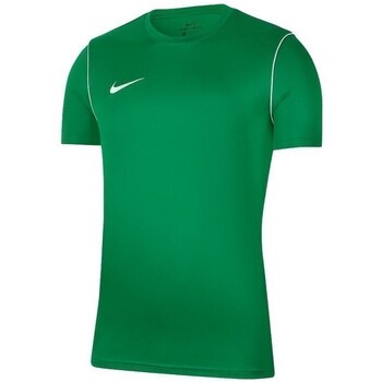 Vêtements Garçon T-shirts manches courtes Nike JR Park 20 Vert