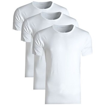 Vêtements Homme T-shirts manches courtes Tommy Hilfiger 3PAK Blanc