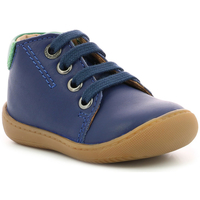 Chaussures Garçon Boots Aster Pitio Bleu