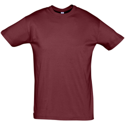 Vêtements Homme T-shirts manches courtes Sols REGENT COLORS MEN Burdeo
