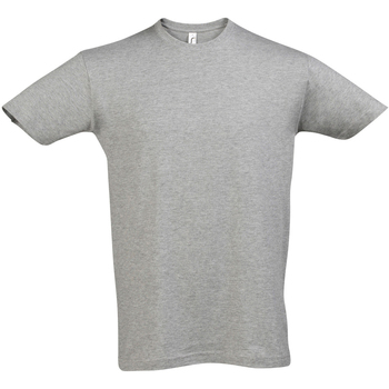 Vêtements Homme T-shirts manches courtes Sols REGENT COLORS MEN Gris