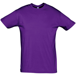 Vêtements Homme T-shirts manches courtes Sols REGENT COLORS MEN Violeta