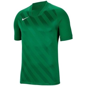 Vêtements Homme T-shirts Grey manches courtes Nike Challenge Iii Vert