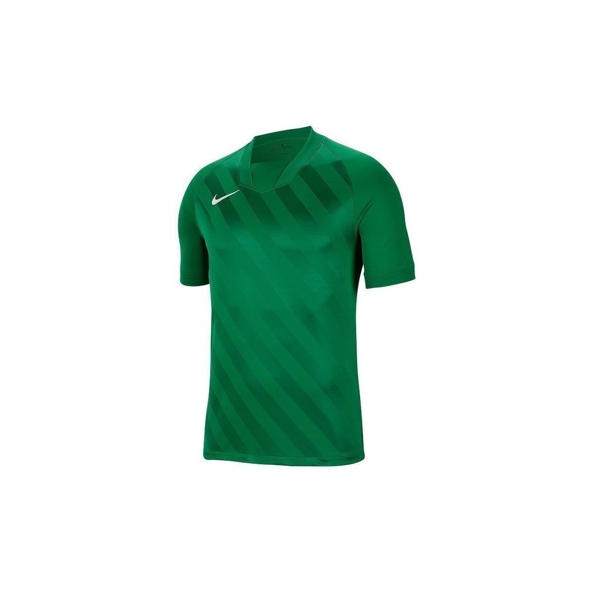 Vêtements Homme T-shirts manches courtes Nike Challenge Iii Vert