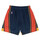 Vêtements Shorts / Bermudas Mitchell And Ness Short NBA Golden State Warrior Multicolore