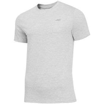 Vêtements Homme T-shirts manches courtes 4F TSM003 Gris