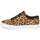 Chaussures Femme Baskets basses antracite Timberland SKYLA BAY LEATHER OXFORD Leopard