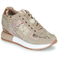 Chaussures Femme Baskets basses Gioseppo RAPLA Beige