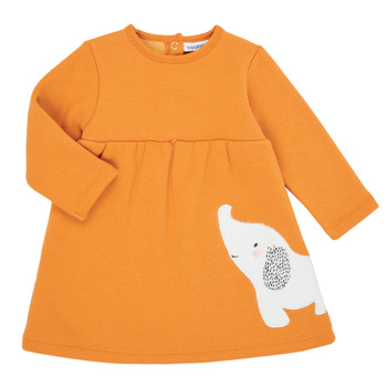 Vêtements Fille Robes courtes Noukie's Z050083 Orange