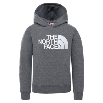 Vêtements Enfant Sweats The North Face DREW PEAK HOODIE Gris