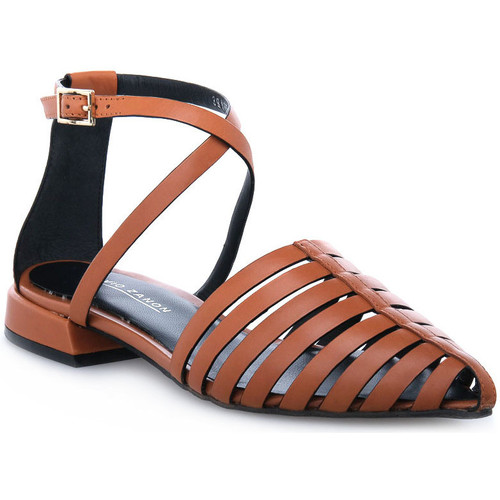 Elvio Zanon PARMA CUOIO Marron - Chaussures Chaussures-de-sport Femme  103,00 €