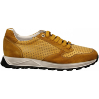 Chaussures Homme Baskets mode Exton ANT Jaune