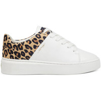 Chaussures Baskets mode Ed Hardy Wild low top white leopard Blanc