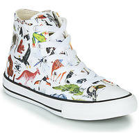 Chaussures Enfant Baskets montantes Converse CHUCK TAYLOR ALL STAR - SCIENCE CLASS Blanc / Multicolore
