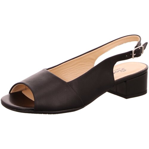 Chaussures Femme Duck And Cover Sioux  Noir