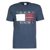 Vêtements Homme T-shirts manches courtes Tommy Jeans TJM PLAID CENTRE FLAG TEE Marine