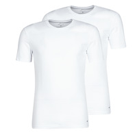 Vêtements Homme T-shirts manches courtes Nike EVERYDAY COTTON STRETCH X2 Blanc