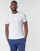 Vêtements Homme T-shirts manches courtes Nike EVERYDAY COTTON STRETCH X2 Blanc