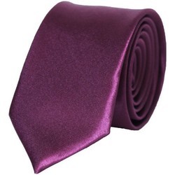 Vêtements Homme Cravates et accessoires Kebello Cravate Satin SlimH Violet Taille unique Violet