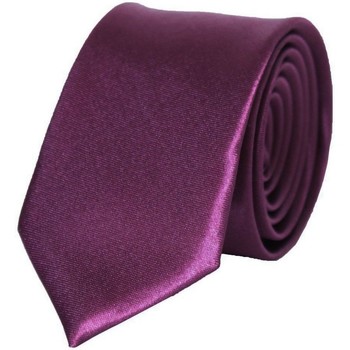 Vêtements Homme Cravates et accessoires Kebello Cravate Satin Slim Violet H Violet