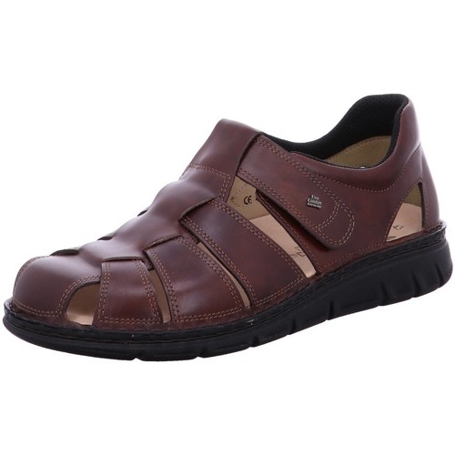 Chaussures Homme Save The Duck Solidus  Marron