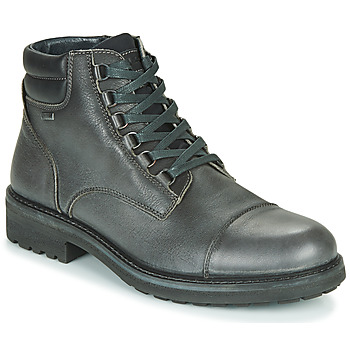 Chaussures Homme Boots IgI&CO UOMO FREDDY GTX Gris