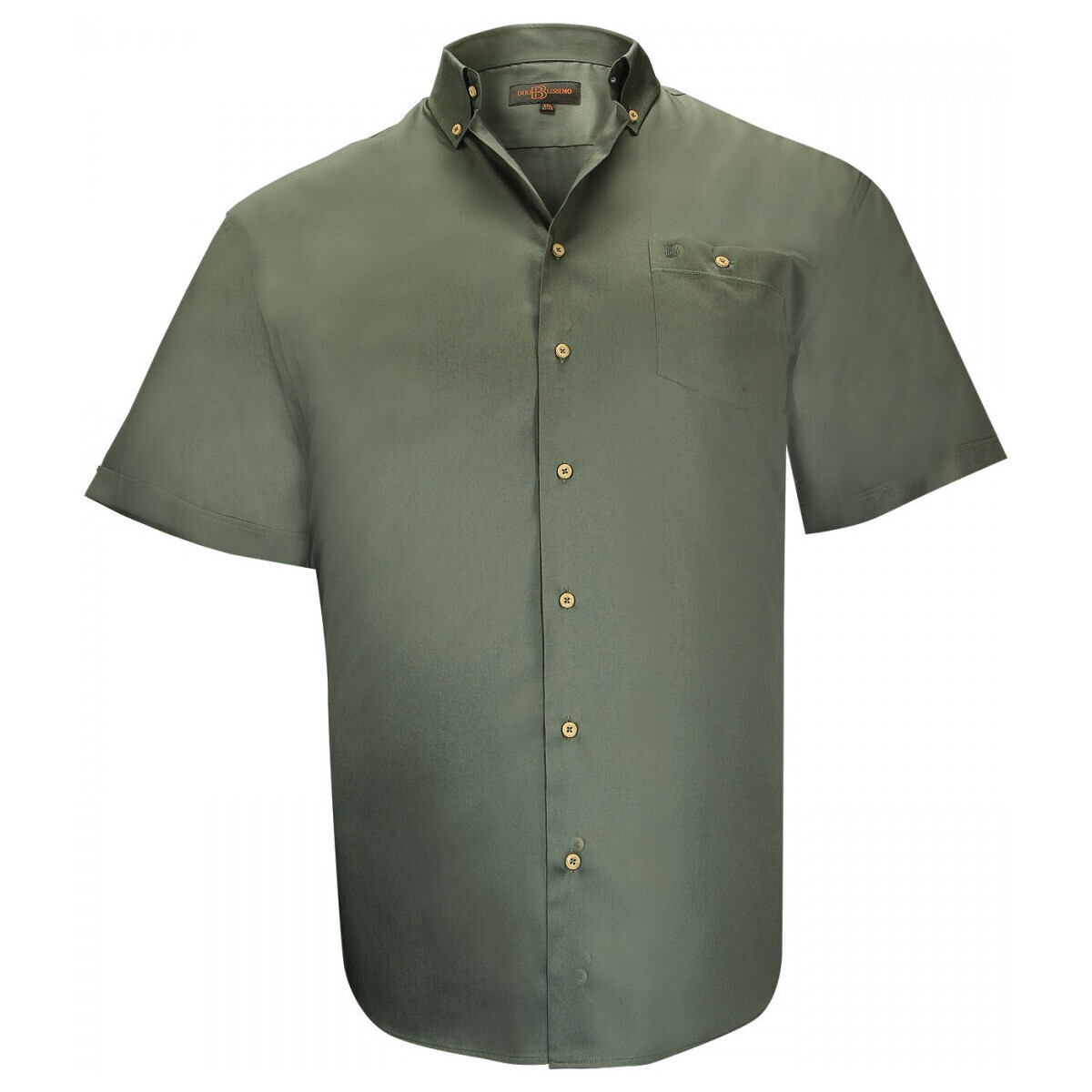 Vêtements Homme Chemises manches courtes Doublissimo chemises popeline dundee vert Vert