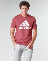 Vêtements Homme T-shirts manches courtes Real adidas Performance MH BOS Tee rouge heritage