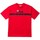 Vêtements Homme T-shirts & Polos Fila LIGNE de T shirt Homme HOMMES ANATOLI 687231 rouge Rouge