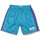 Vêtements Shorts / Bermudas Mitchell And Ness Short NBA Charlotte Hornets 19 Multicolore