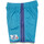 Vêtements Shorts PA107022A005W / Bermudas Mitchell And Ness Short NBA Charlotte Hornets 19 Multicolore