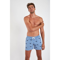 Vêtements Homme Maillots / Shorts de bain Cala SWIMSHORT SHARK BLEU MARINE
