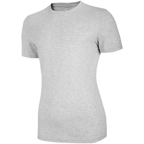 Vêtements Homme T-shirts manches courtes 4F TSM003 Gris