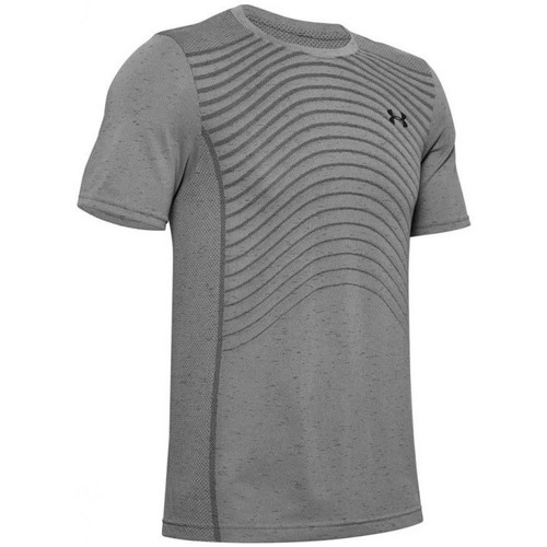 Vêtements Homme T-shirts & Polos Under Armour Hoodie SEAMLESS WAVE Gris